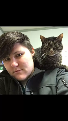 kitty_res
